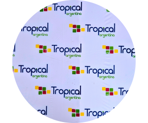 Tropical circle